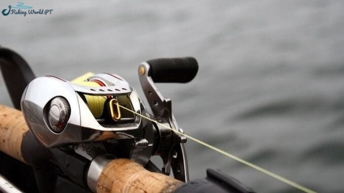 Can You Use A Low Profile Baitcaster for Catfish