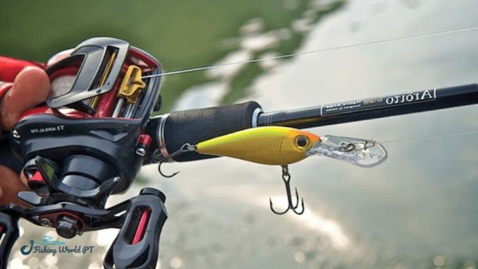 Overview of bait casters and casting rods