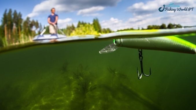 no need bait clicker when fishing on the water