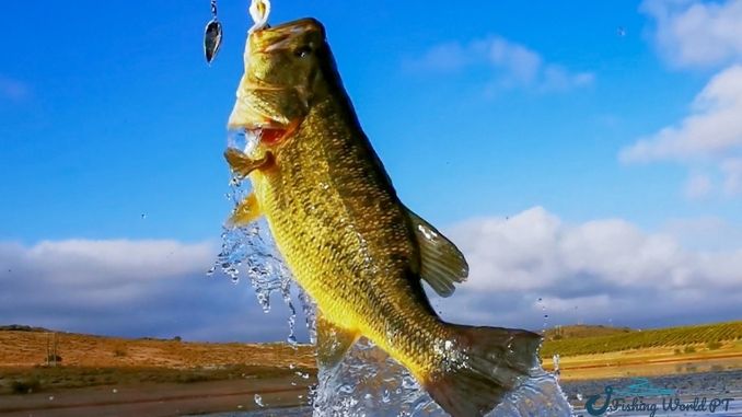 when should you use a spinning rod for bass fishing?