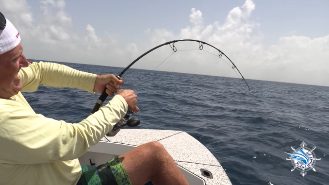 How to reel in fish