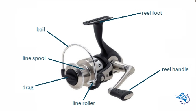 Parts of a spinning reel