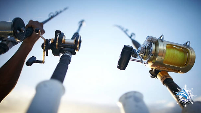 What are the types of fishing reels