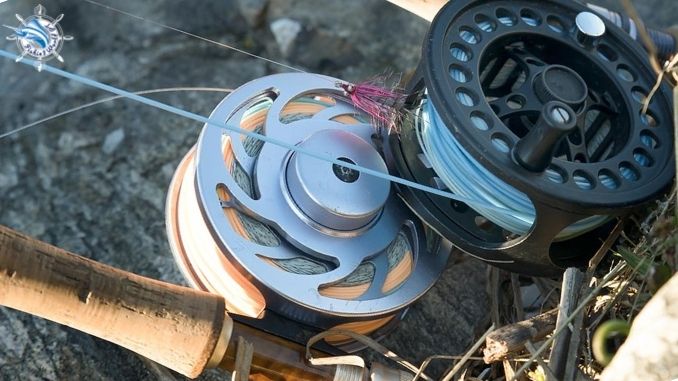 What is the best drag system in a fly reel