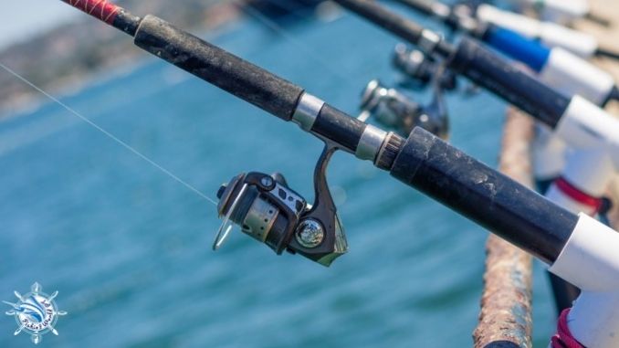 What size reel should I use for pier fishing (2)