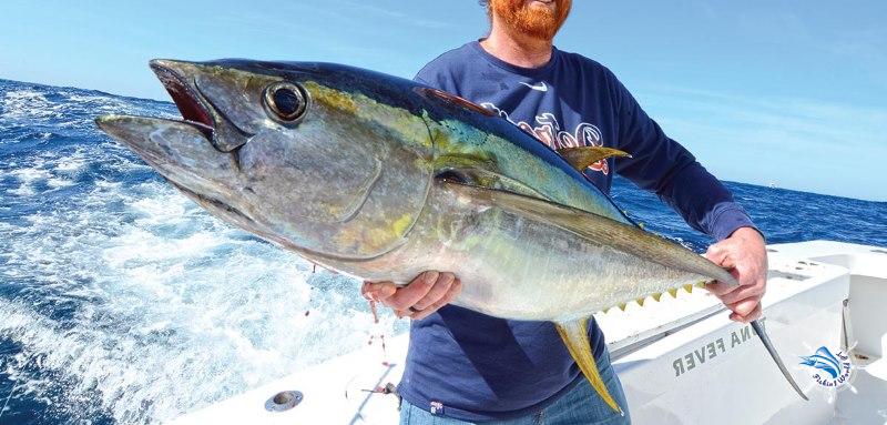 fishing tuna with a two-speed reel