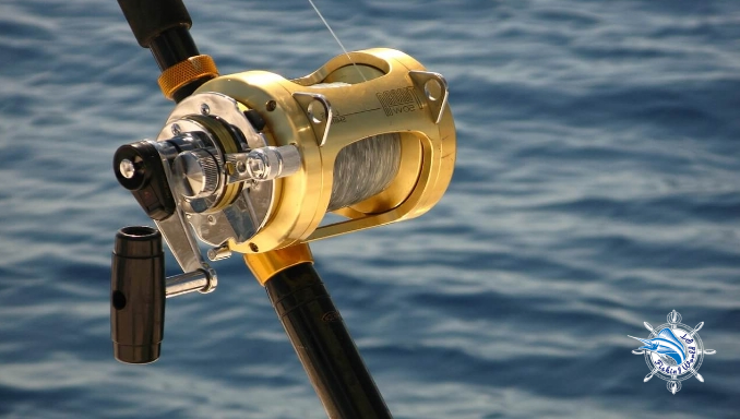 what is a saltwater spinning reel