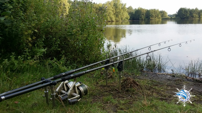 what size reel do I need for carp fishing 1