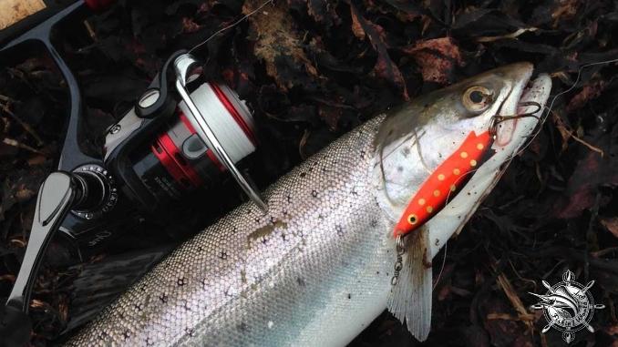 best spinning reel for trout