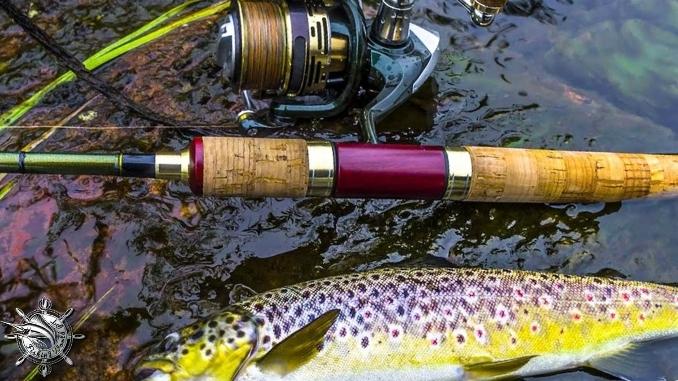 best spinning reel for trout