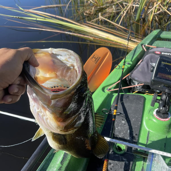 All about Bass Fishing from a Kayak