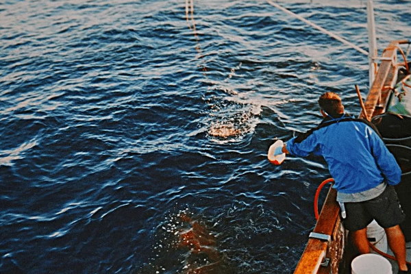 Common Offshore Fishing Techniques chumming