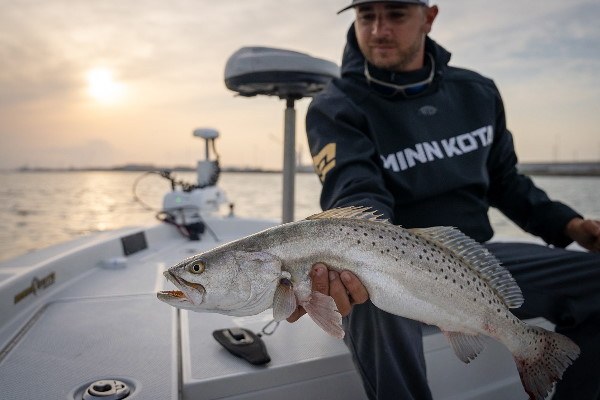What Popular Species of Fish Can You Catch Inshore seatrout