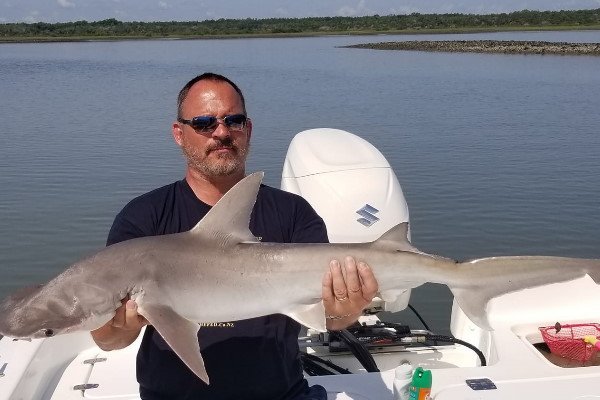 What Popular Species of Fish Can You Catch Inshore shark