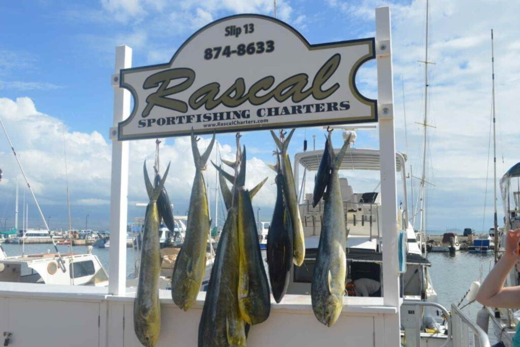 An Overview of Deep Sea Fishing in Maui